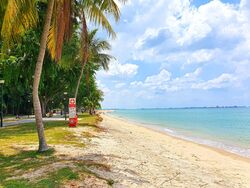 Seaside Residences (D15), Apartment #535768381